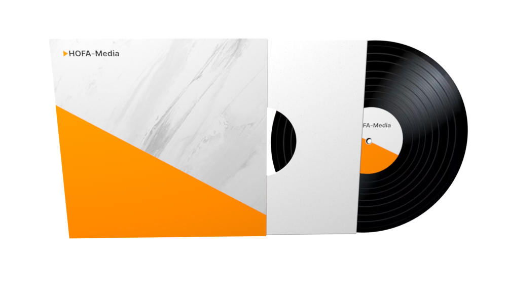 Setartikel Vinyl 12 inch 180g, Kastentasche